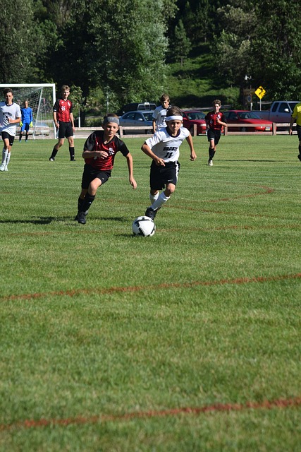 本赛季韩K2联常规赛战罢，城南FC搭上升级附加赛末班车