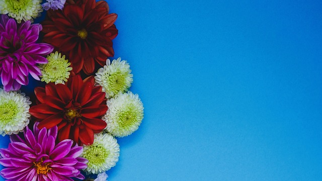 居功至伟！福克斯怒砍31分5篮板5助攻，下半场22分