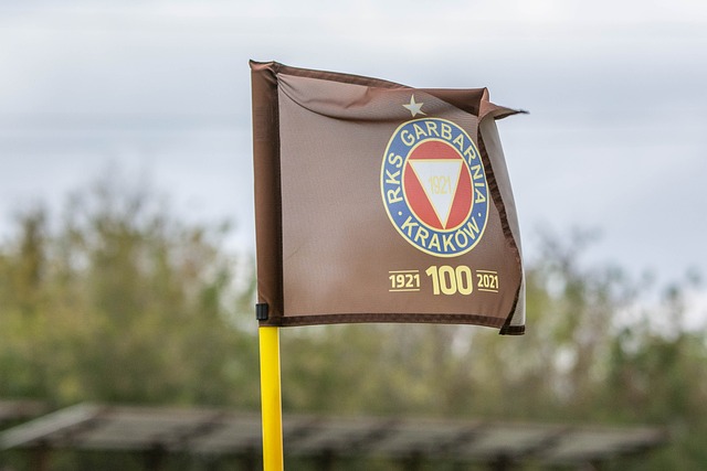 意媒：弗拉霍维奇在国家队中出现肌肉不适，但伤情不重