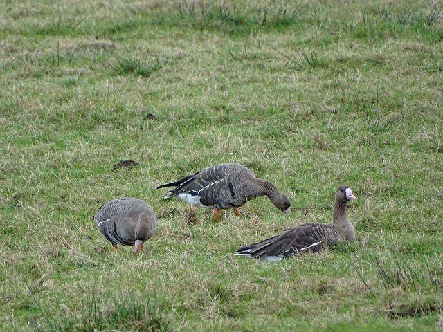 甘兹谈从国米转会米兰：虽然朋友也辱骂我，但是我从未后悔